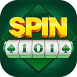 Spin 101